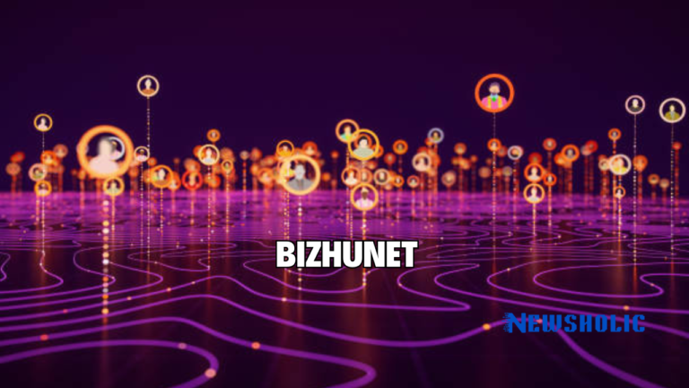 bizhunet